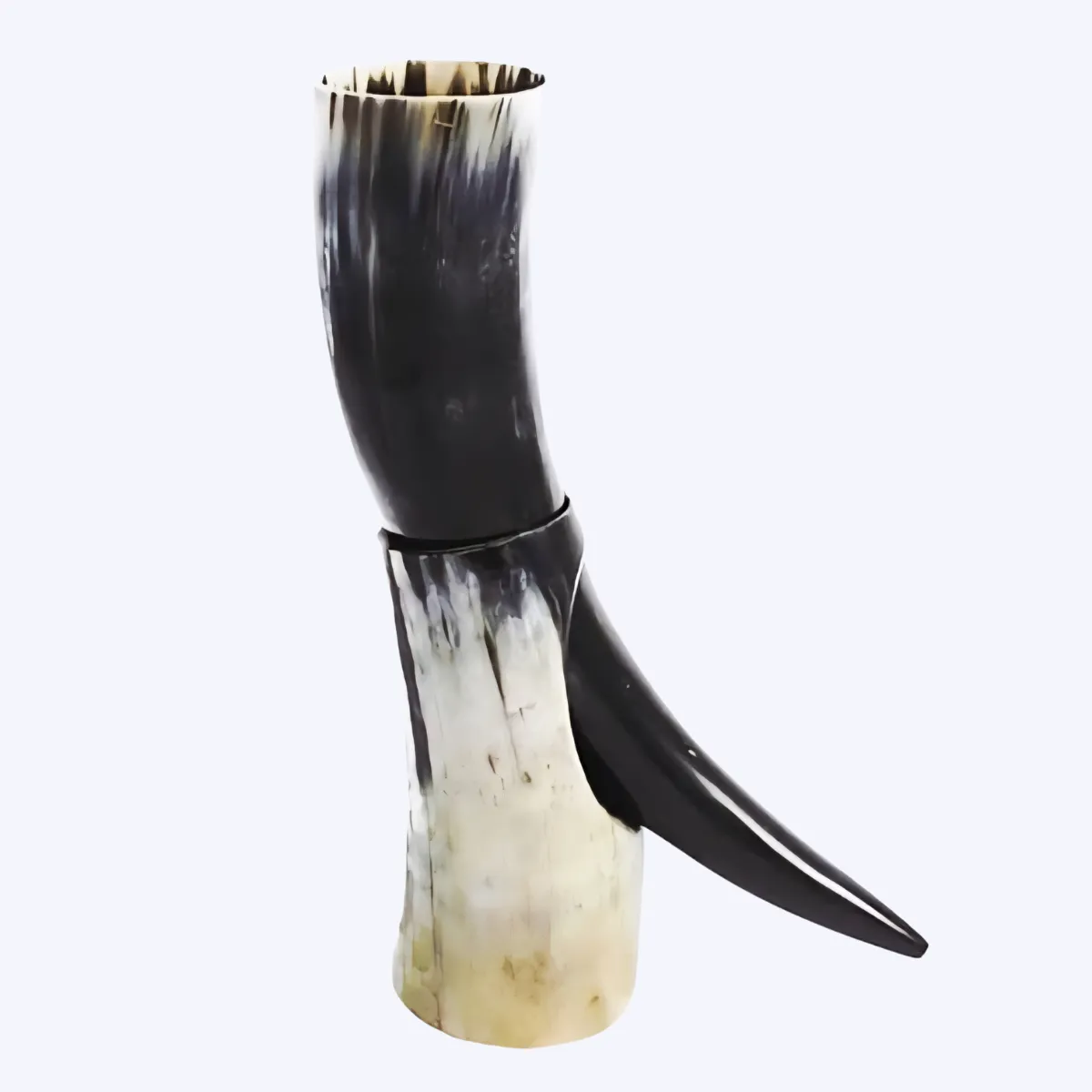 handcrafted-viking-horn-with-short-hornstand-hindustan-enterprises