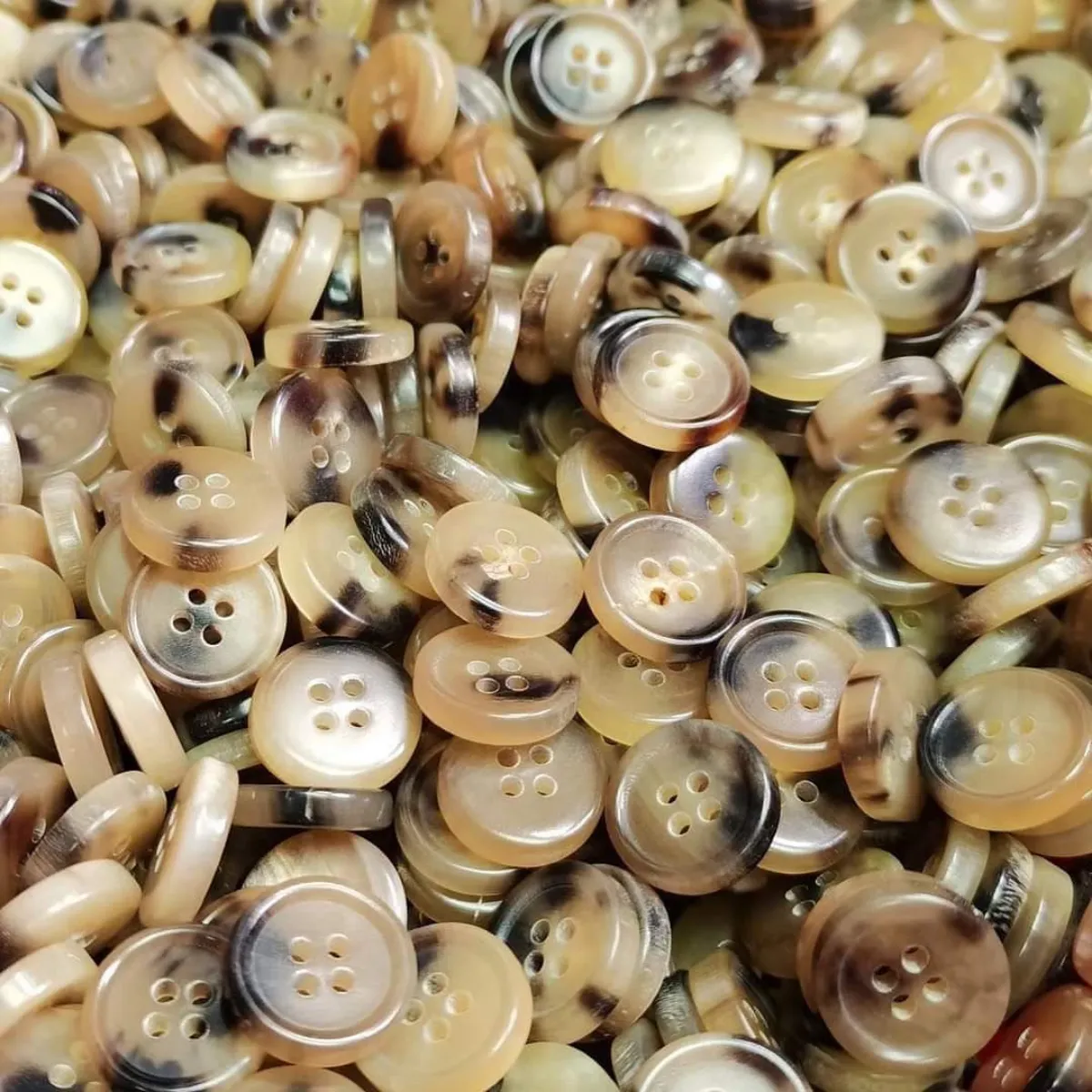 Polished Horn Button