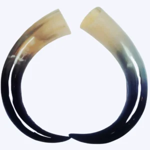 Polished Natural horn handmade