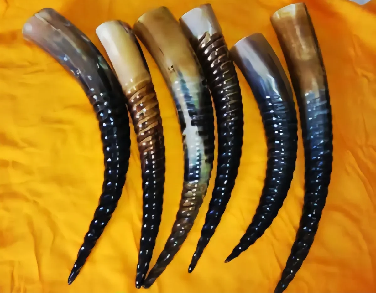 Handcrafted Viking horn goblet